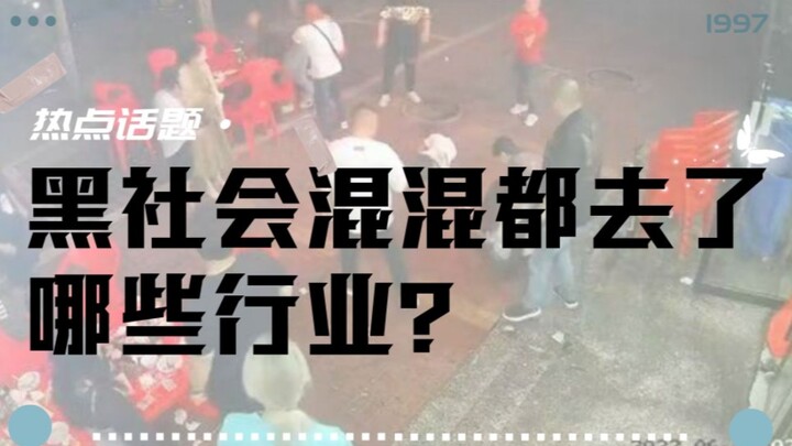 Các tay anh chị xã hội đen thường hoạt động trong những ngành nghề nào?