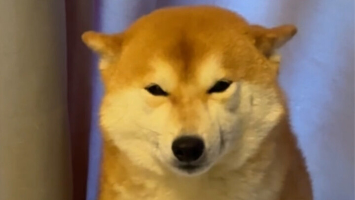 คุณแม่จัง กำลังเกิดสงครามแล้วเหรอ?