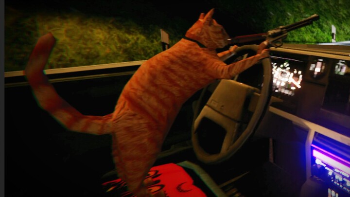 Anh mèo nóng tính dẫn tôi làm chuyện lớn