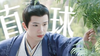 What the hell! This is the old boy! Young, personable, gentle, straight-ball puppy's eyes are pure a