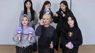 (G)I-DLE (แฟนชานท์) -'HWAA' เนเวอร์แลนด์ทั้งหลายทำได้แล้วใช่ไหม