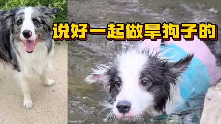 Cún con à, hay là thôi chuyện đi bơi đi nhé?