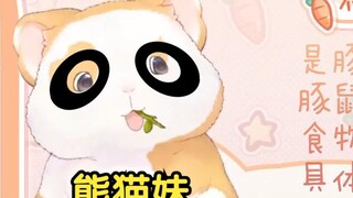 Hua Ling: Why do I have dark circles under my eyes? Because I am a panda girl! [Hua Ling Video 2]