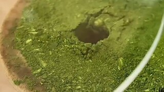 Apa ini enak diminum?