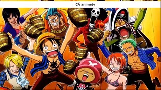 Tất tần tật về Jinbe và quá trình trở thành thành viên thứ 10 băng Mũ Rơm ! 1