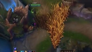 You chase me, I run, you walk, I steal