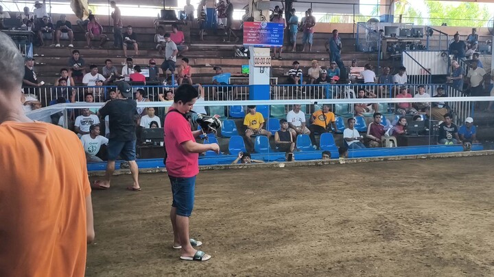 duke hulsey kapatid nun first fight  2nd W Champion sa taal 🏆🏆
