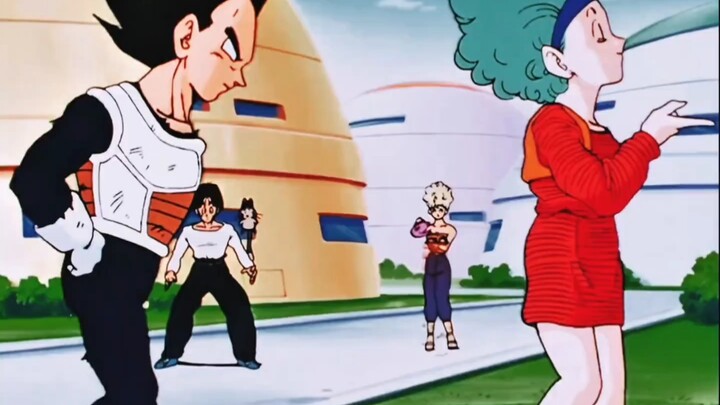 Vegeta is gradually being drawn to Bulma’s personality…