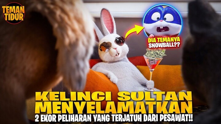 FILM TERBARU 2024!! KUCING & ANJING INI JATUH DARI PESAWAT DAN TERPISAH DENGAN M
