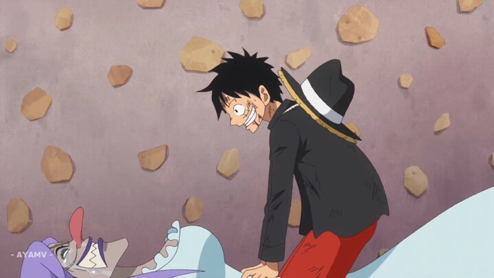 Cuma Brulee yg buat Luffy ngeblush 🤣
