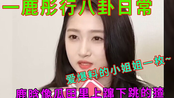 一鹿彤行在线吃瓜：两口子天天聊八卦，吴磊上辈子是不是欠你俩的