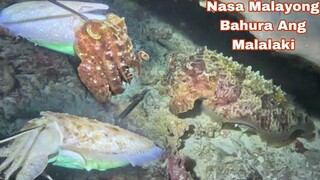 Episode 450 Dive1 NASA Malayong Bahura Ang Malalaki Night Spearfishing Philippines