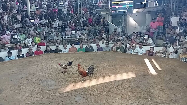 rematch panalo paren