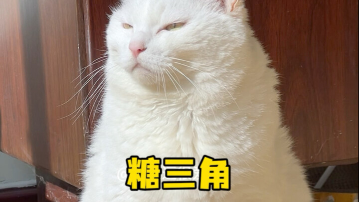 This is a sugar triangle.