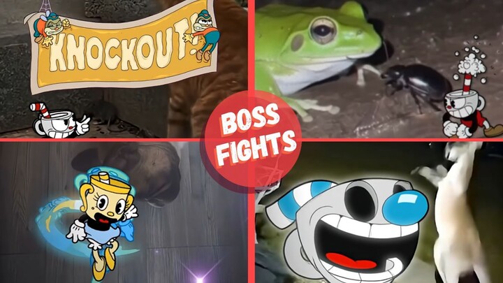I Made Cuphead Fight REAL Bosses…