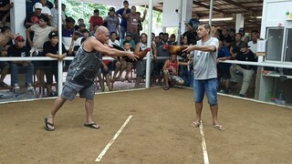 manipis