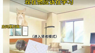【猫meme】手机只是我众多玩具中最好玩的一个