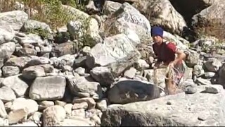 cast net fishing in Nepal | asala fishing | himalayan trout fishing |