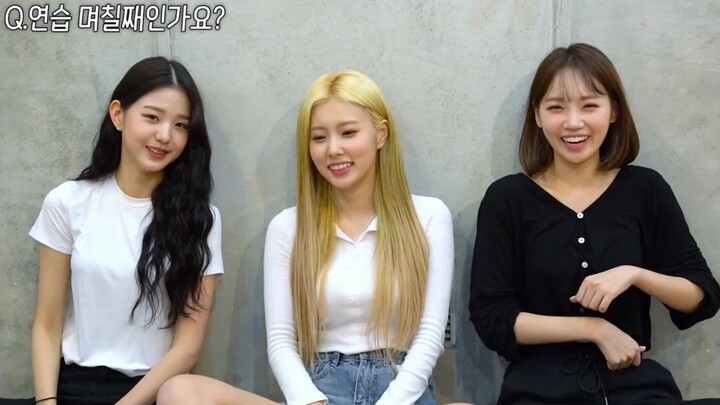 IZONE:张元英光北金采源 跳前辈的曲子，开头要叫一声  哈~，真是哈哈哈了