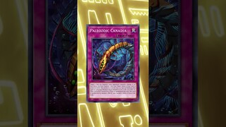 These Cards BROKE Yu-Gi-Oh And RUINED A YCS! #shorts