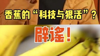 [Fruit Hunter x Hunter] Banana's "Technology and Hard Work"? Rumors Debunked!