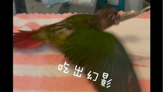 再多饿一秒就会爆炸