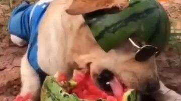 #อร่อยมั้ยลูกพี่