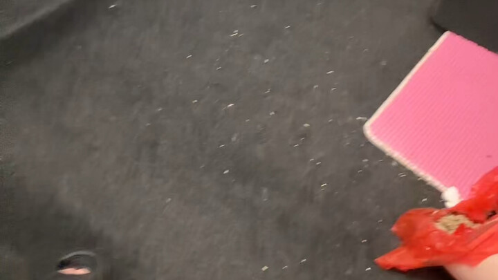 Về đến nhà rồi! Ôm hôn bảo vệ nào