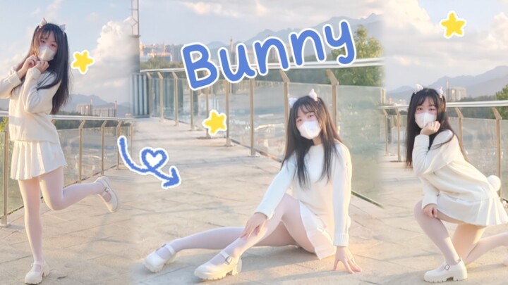 - ̗̄ข่าวแห่งปีกระต่าย̖́-กระต่ายมอเตอร์ไฟฟ้า ꪔ̤̥ꪔ̤̮ꪔ̤̫Bunny