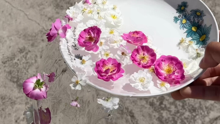 Tung hoa thành tranh, đẹp không nhỉ?