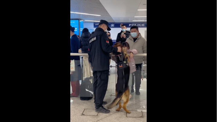 Anjing polisi ekstrovert dan anjing polisi introvert