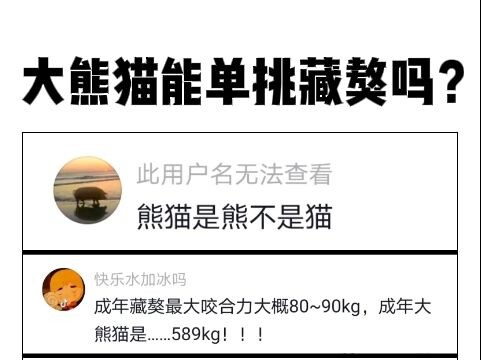 Can a Giant Panda Take on a Tibetan Mastiff One-on-One?