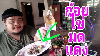 #ก้อยไข่มดแดง    ทะยานฟ้า !!