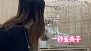 有一种夹子音叫做“只对你夹”
