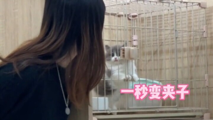 有一种夹子音叫做“只对你夹”