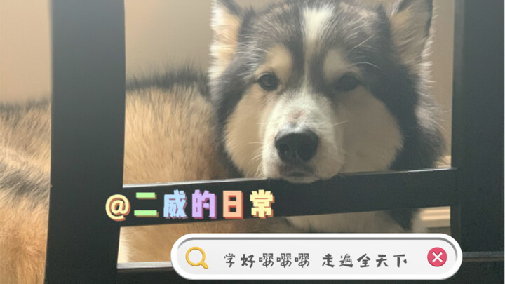 When the subwoofer starts “nyaa nyaa”-ing