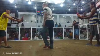 2nd fight champion 🏆🏆 balungao cock pit arena