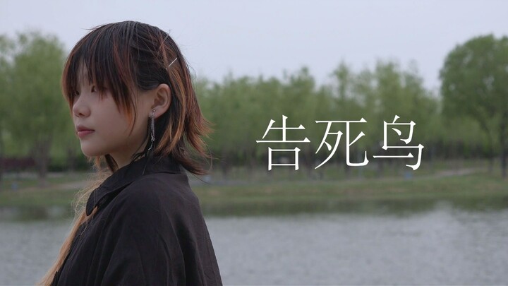 【Sáng tác vũ đạo】Chim báo tử