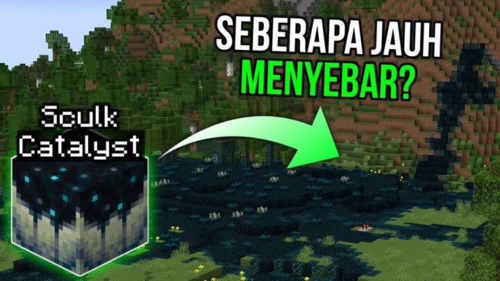 5 Hal Yang DILUAR NALAR Ada Pada Minecraft Dan Komunitas Minecraft