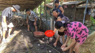 Vịt Đẻ Rộ Cả Nhà Ra Chòi Lụm Đã Tay Đem Về Làm Nồi Thịt Kho Trứng Chấm Rau Vườn | TKQ & Family T1064