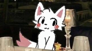 小傻猫喜欢你❤️