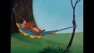 Tom y Jerry en Latino _ Terminen el año con Tom y Jerry _ WB Kids