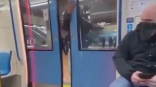 【地球生物搞笑日常#143】圣诞快乐~
