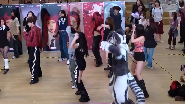 【Fursuit Dance】Gintan - Random dance held in Shanghai on April 19, 2025