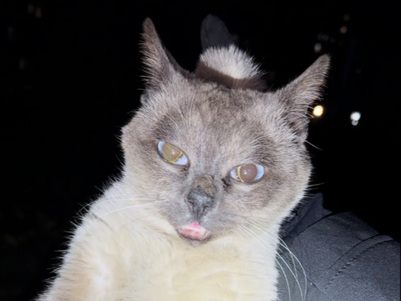 ما أشد هذا الصدفة!