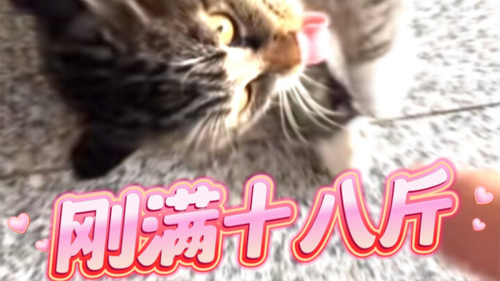 Dia kan masih bayi～