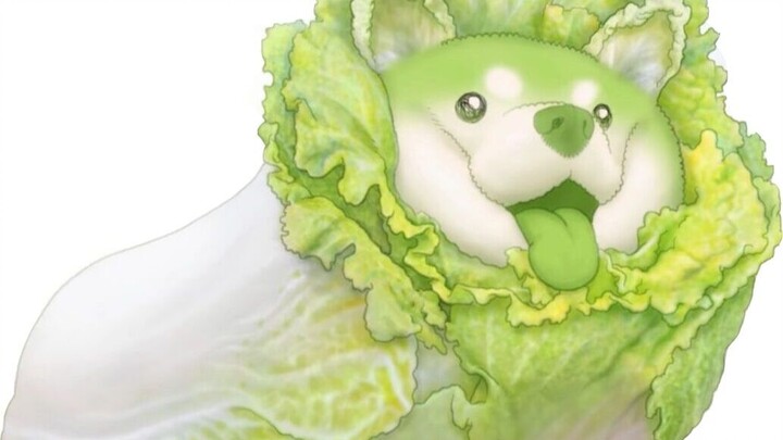 Kinh ngạc: Hóa ra chó cũng có thể nuôi mèo?!