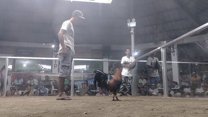5COCK DERBY @PAG-ASA COCKPIT ARENA MARCH 30, 2024 3rd FIGHT 5K SWEATER W