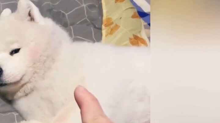 Đã tìm thấy MV lậu của "Biển Rakshasa"