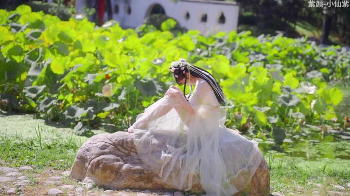 小城烟火    [原视频   紫颜-小仙紫   音乐   浅影阿]